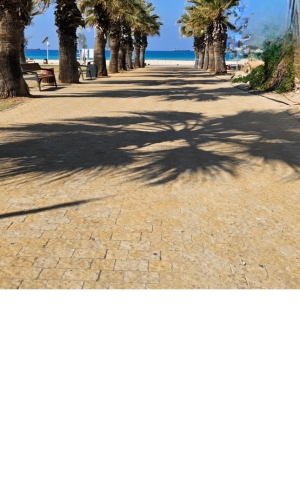 תמונת מופע: הצעת נישואין פארק פיראטים א&lpar;שביל צפוני&rpar;